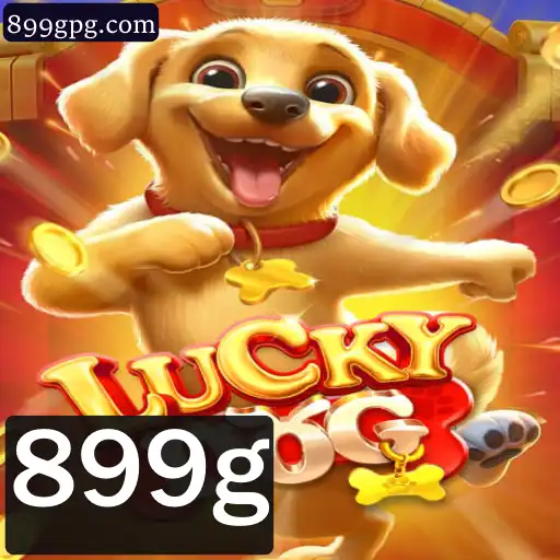 Explorando o Mundo de LuckyDog: Um Guia Completo